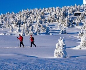 Wintersport/Ski