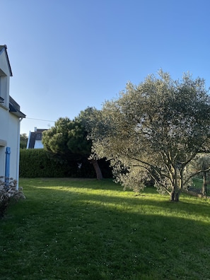 Boendeområde
