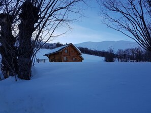 Deportes de invierno y ski