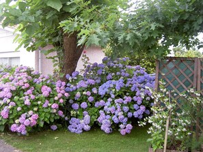 Jardines del alojamiento