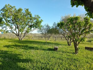 Terrenos do alojamento