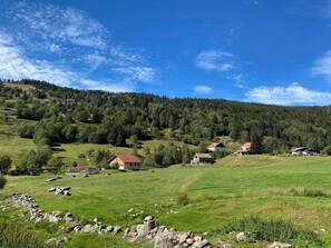 chalet  le royal à La Bresse / Geradmer /Vosges 