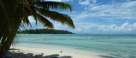 plage  vue des Tipaniers