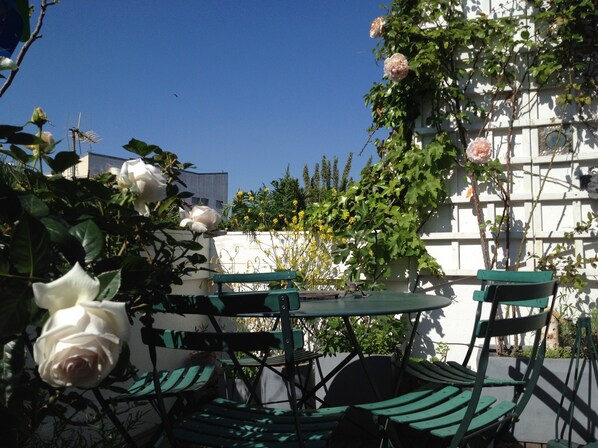 appartement avec terrasse  plein sud centre Paris 