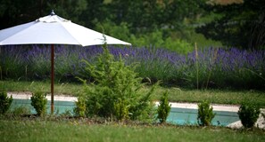 Ambiance à la piscine...