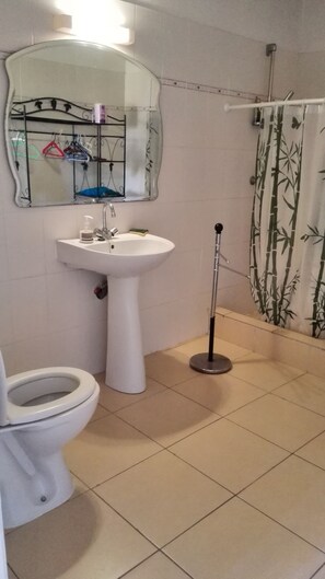 Salle d'eau
