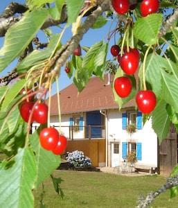 gîte en pleine nature entre forêts et prairies  