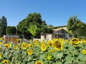 Jardines del alojamiento