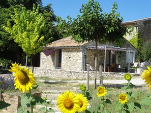 Jardines del alojamiento