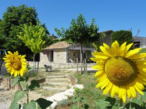 Jardines del alojamiento