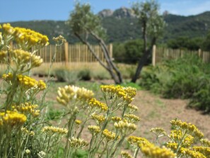 Jardines del alojamiento