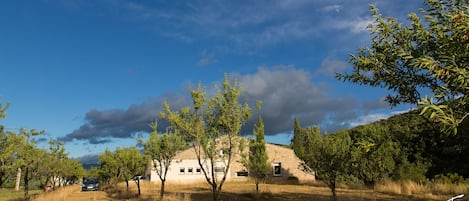 Les allées d'amandiers et la façade Nord-Ouest