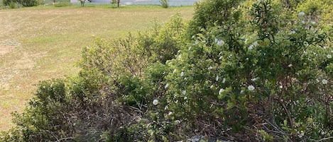 Terrain de l’hébergement 