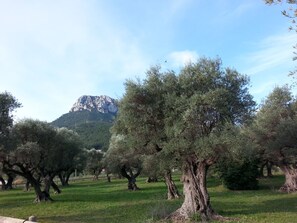 Jardines del alojamiento