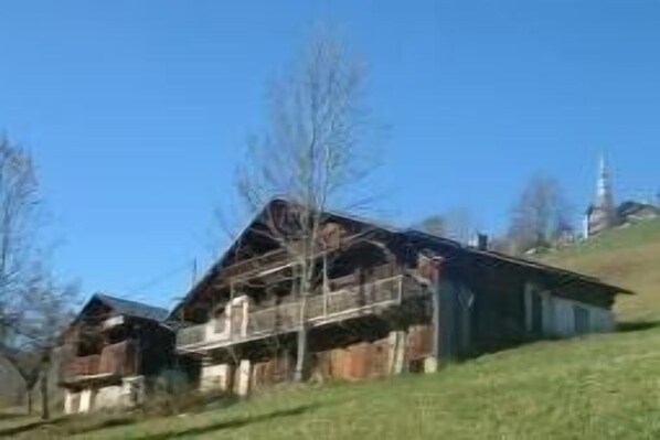Exteriör