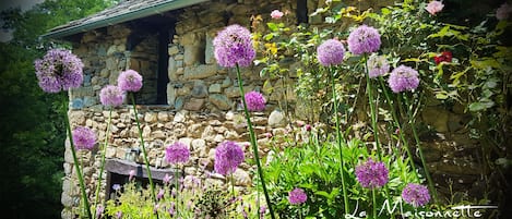 Jardines del alojamiento