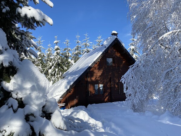 Exteriör