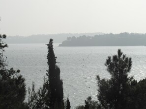 Oklassificerad bild, 2 av 23, knapp
