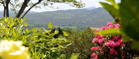 Vue sur la Rhune depuis le Jardin