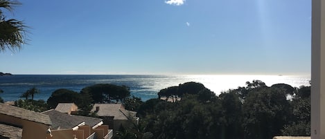 Beach/ocean view