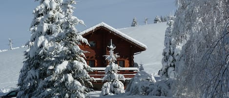 Chalet sous la neige

