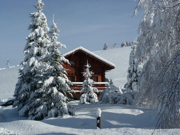Exteriör