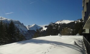 Sneeuw- en skisporten