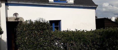 Exteriör