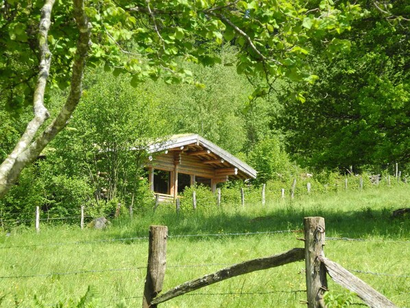 Boendeområde