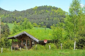 das Blockhütte oder Blockhaus