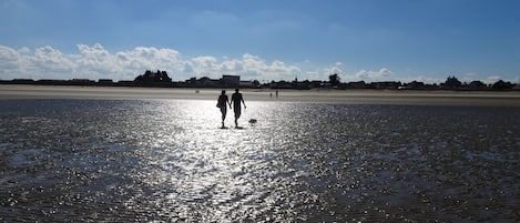 2 amoureux sur la plage avec leur Cavalier King Charles