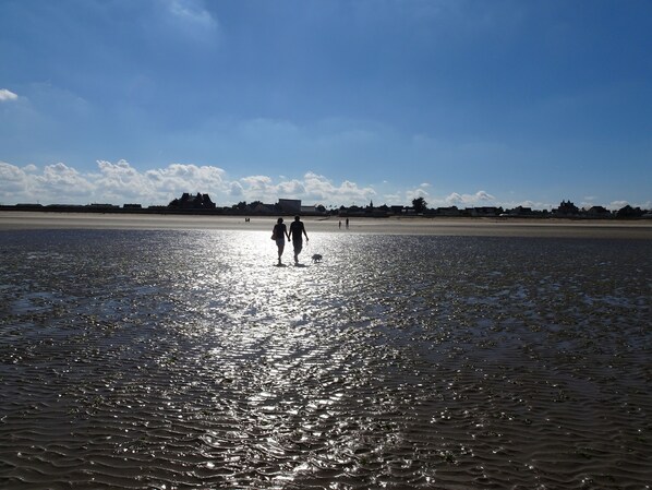 2 amoureux sur la plage avec leur Cavalier King Charles