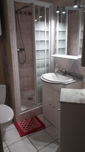 douche (robinet électrostatique), lavabo, wc.