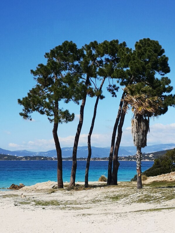 Spiaggia