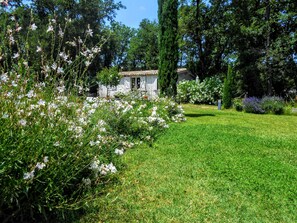 jardin fleuri