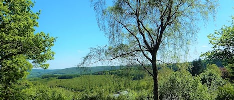 vue panoramique depuis la terrasse de la maison