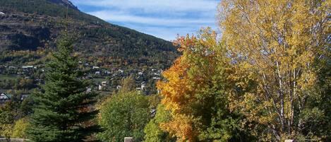 Vue depuis la maison Entrée