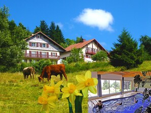 Les deux chalets du domaine 