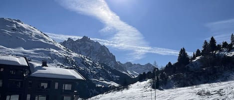 Snø- og skisport