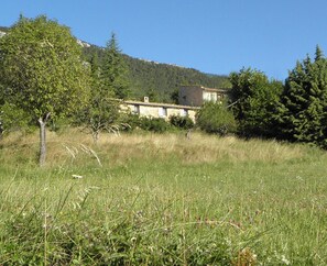 Boendeområde