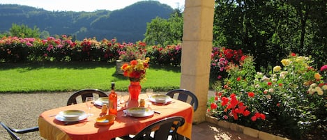 la terrasse et la vue panoramique