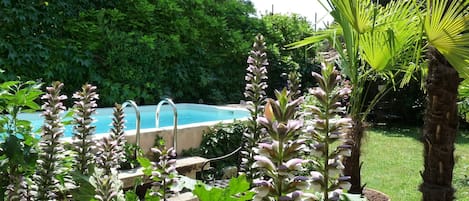 jardin et piscine