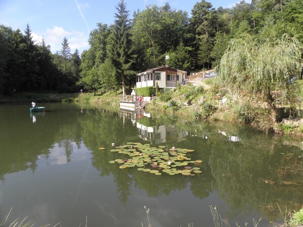 Terrain de l’hébergement 