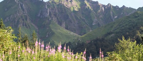 Terrain de l’hébergement 