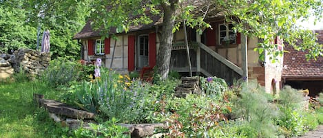 Le jardin verdoyant et reposant : salon de jardin, chaises longues, parasol, BBQ