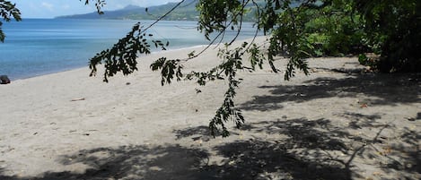 Plage 'Les Raisiniers à 2  km de l'appartement