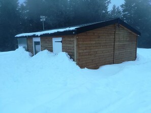 Exteriör