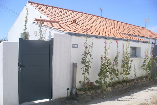 Exteriör