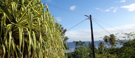 Terrenos do alojamento