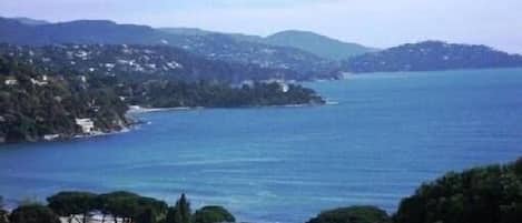 VUE DU BORD DE LA TERRASSE